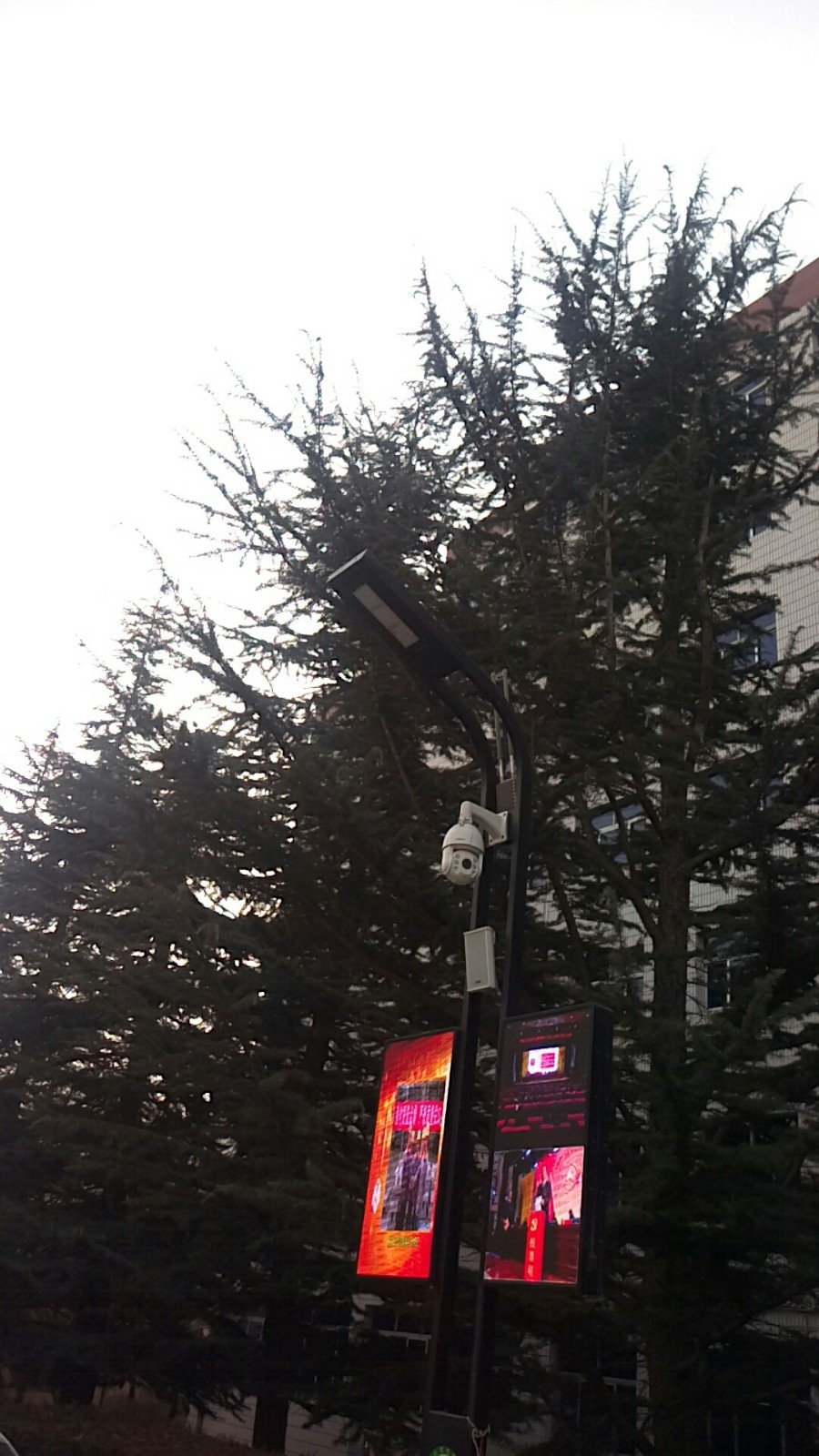 微信圖片_20190408091322.jpg